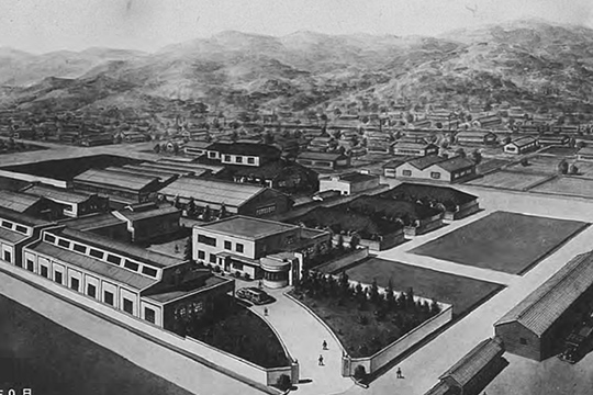 History of Company