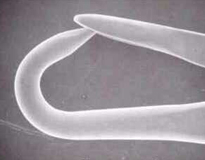 Opened Hook